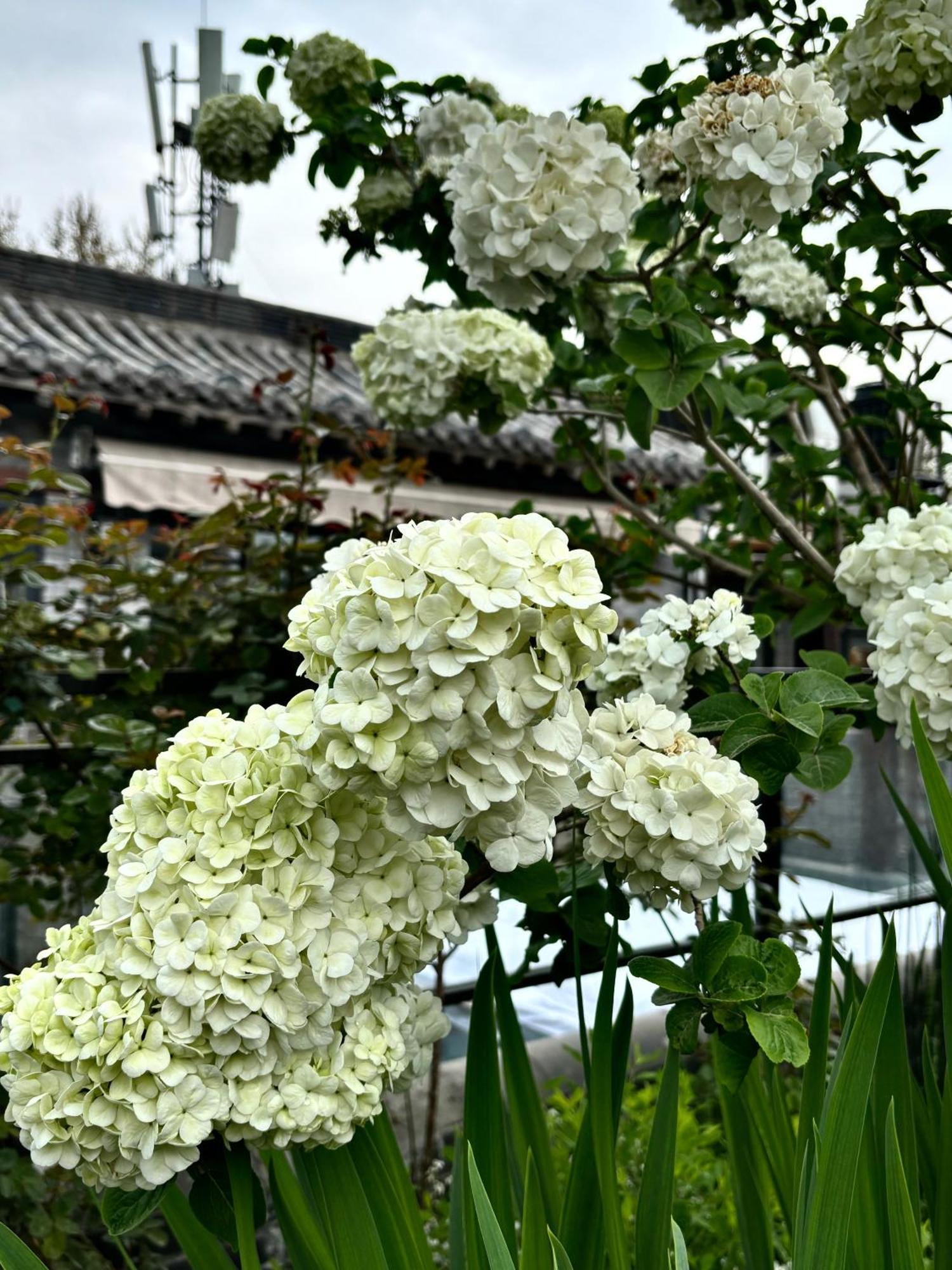 Honglu Garden Hotel Xi'An Bell And Drum Tower Huimin Street Store Exterior photo